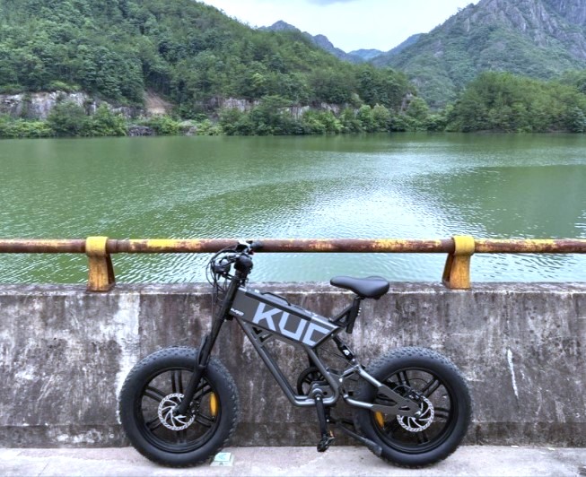 Kugoo T01 Electric Bike