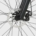 Dual disc brakes