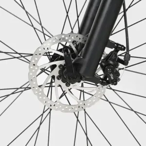 Dual disc brakes