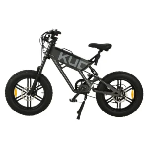 Kugoo T01 Electric Bike (750W)