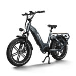Himiway Big Dog Electric Bike - Image 2