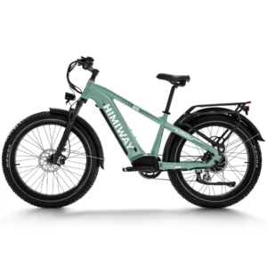 Himiway D5 Zebra Step-over in green