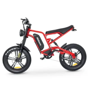 Hidoes B6 Electric Bike