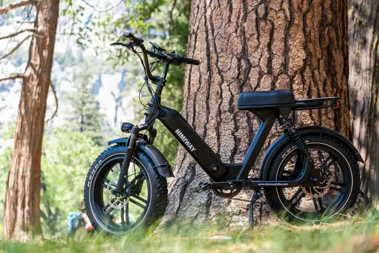 Pictures of Himiway E-Bike