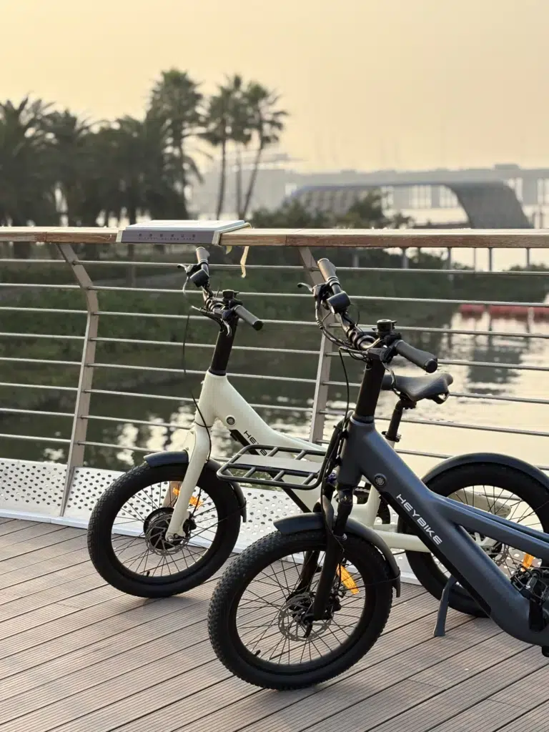 Heybike EC Compact Sport image 2