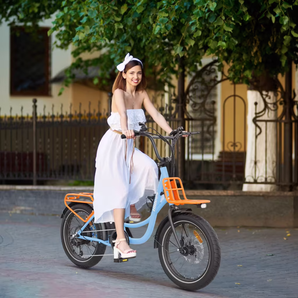 Hidoes C6 Electric Bike 5 Hidoes C6 image 1