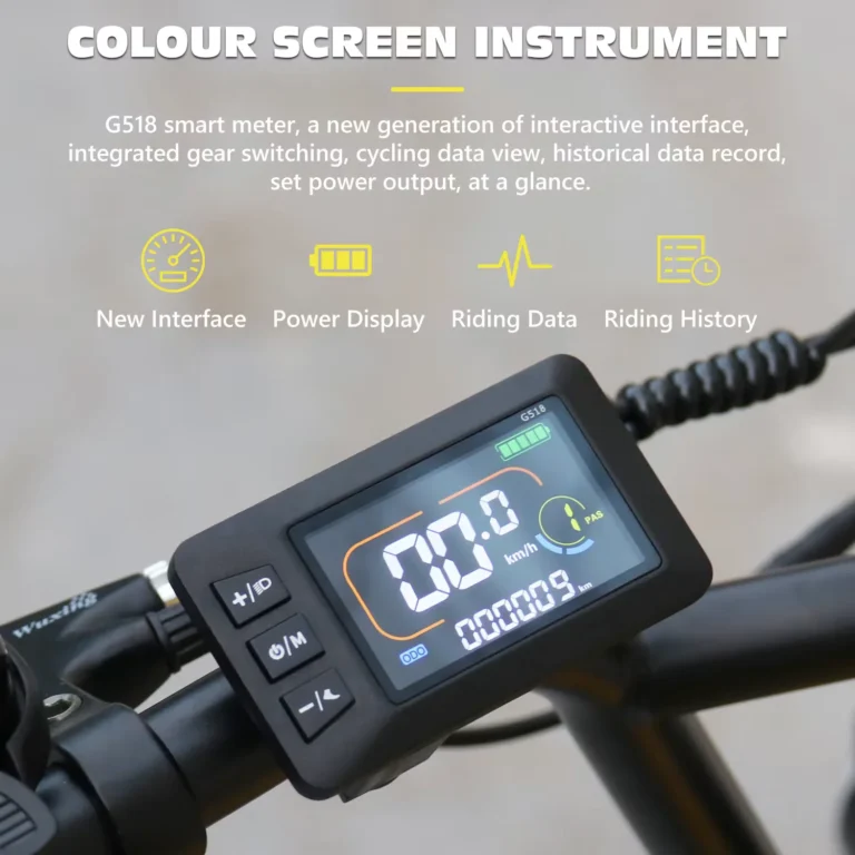 Hidoes C8 display