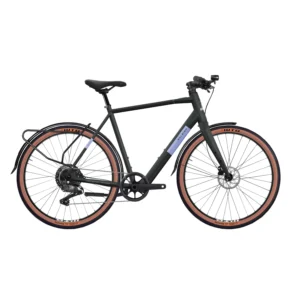 Raleigh Trace Black