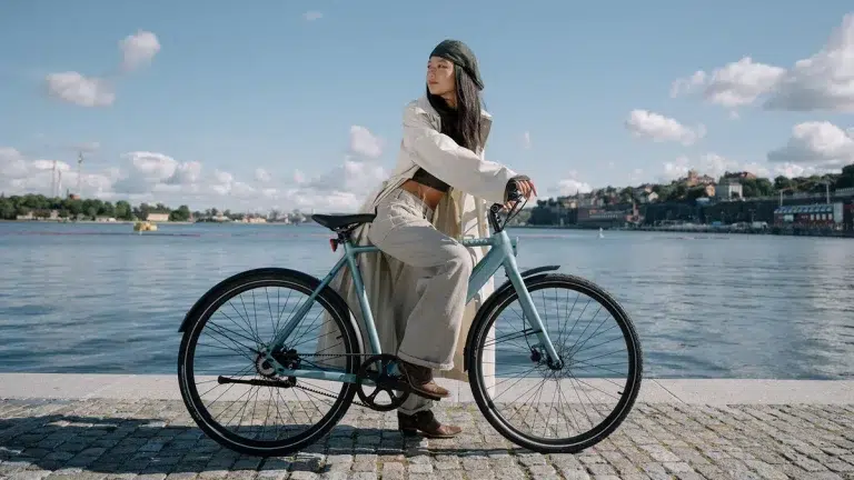 TENWAYS CGO600 Plus Electric Bike 13 TENWAYS CGO600 Pro gallery image 3