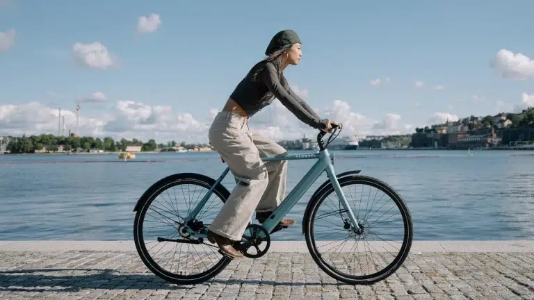 TENWAYS CGO600 Plus Electric Bike 10 TENWAYS CGO600 Pro gallery image 6