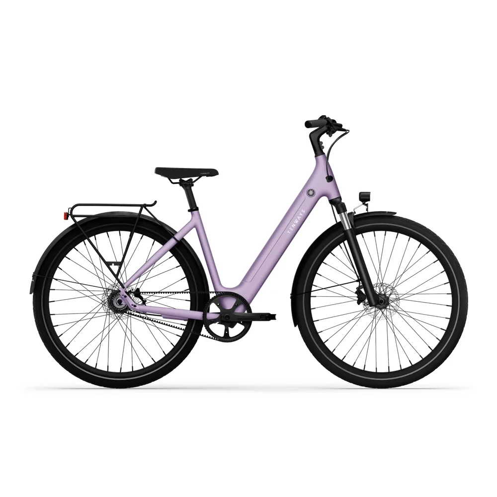 TENWAYS CGO800S Electric Bike 1 TENWAYS CGO800S Lavender Purple