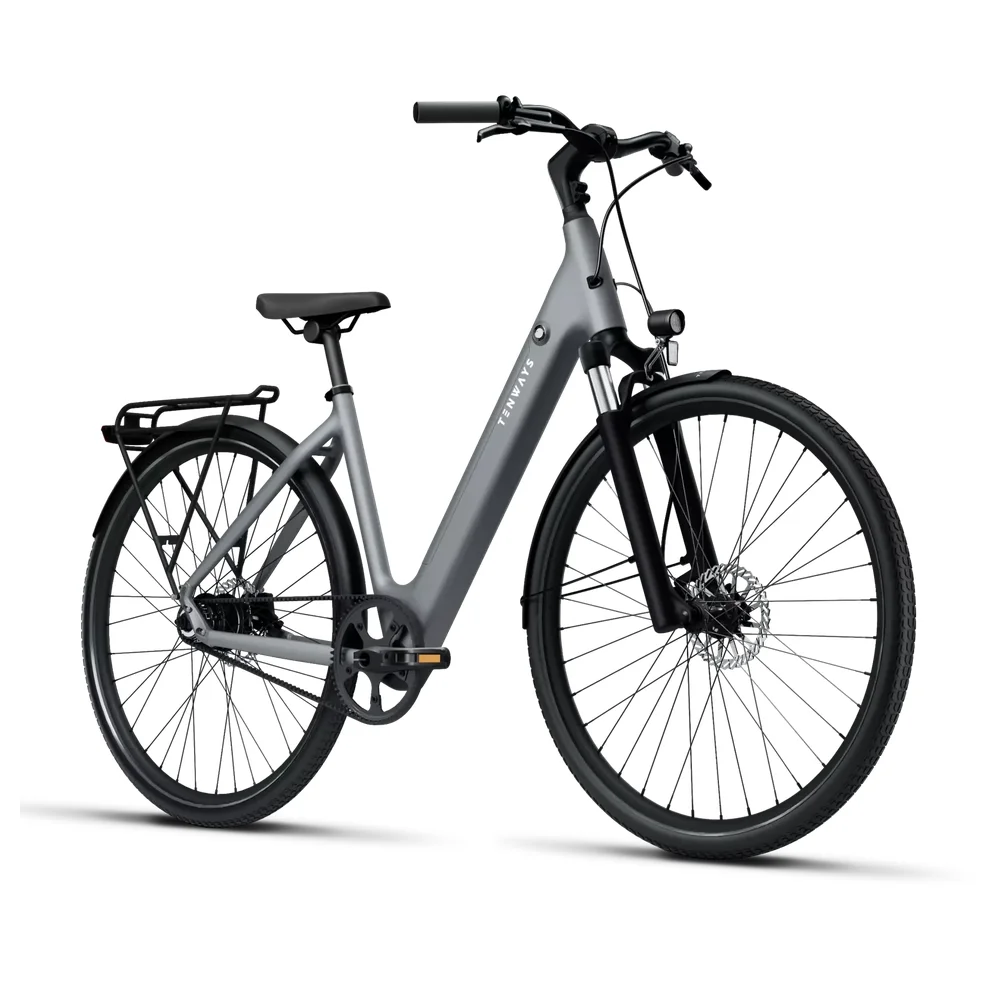 TENWAYS CGO800S Electric Bike 6 TENWAYS CGO800S Pebble Grey image 1