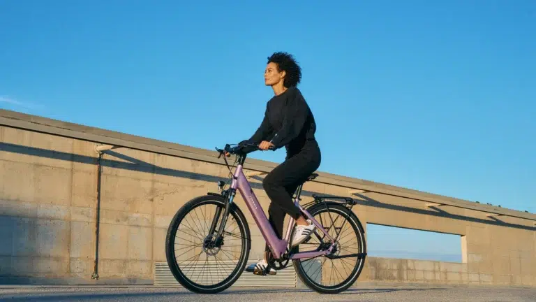 TENWAYS CGO800S Electric Bike 13 TENWAYS CGO800S gallery image 1