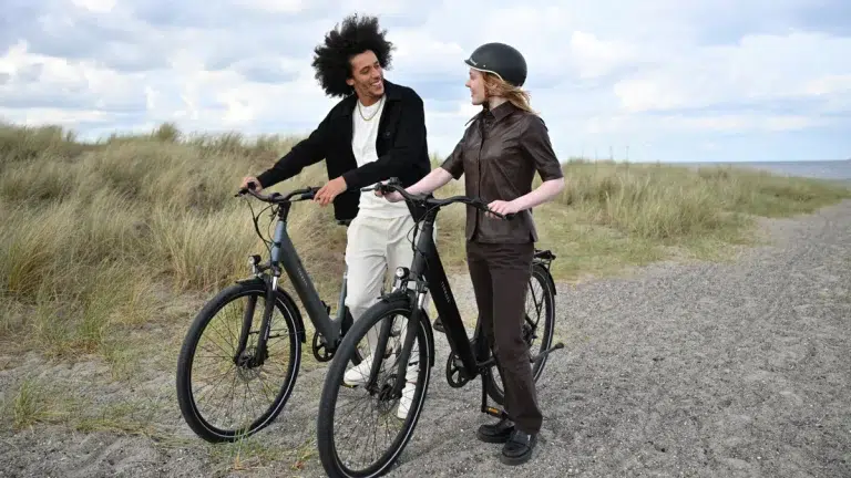 TENWAYS CGO800S Electric Bike 15 TENWAYS CGO800S gallery image 3