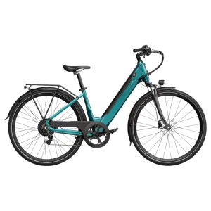 The Fiido C11 electric bike
