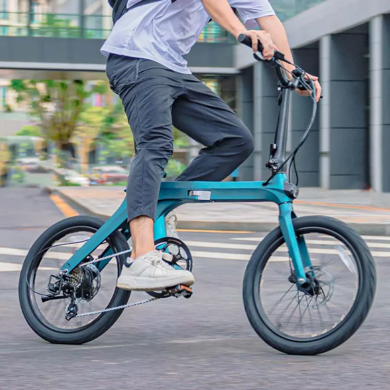 Fiido X Electric Bike 7 slide1