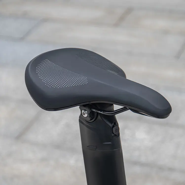 Fiido X Electric Bike 10 slide4