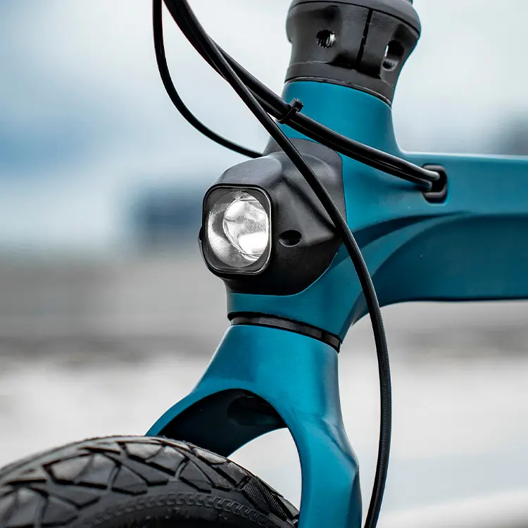 Fiido X Electric Bike 11 slide5