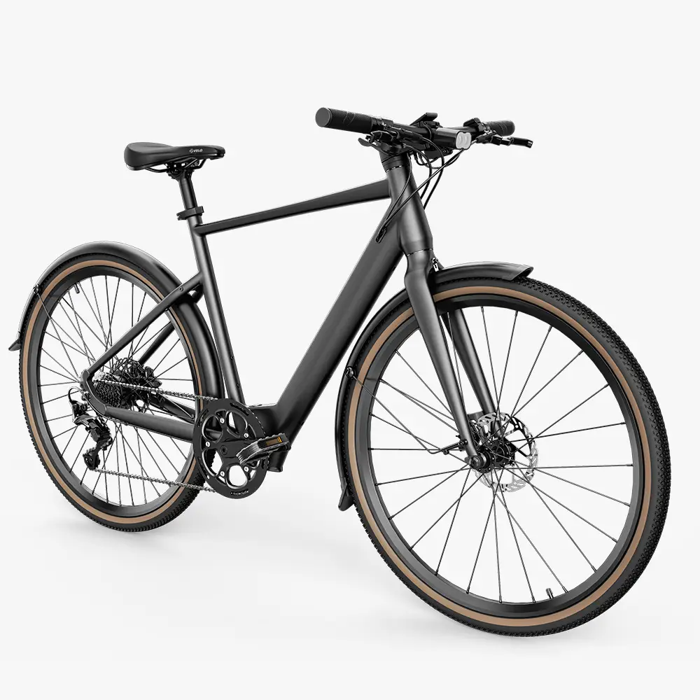Fiido C21 Electric Bike 2 Fiido C21 product image 1
