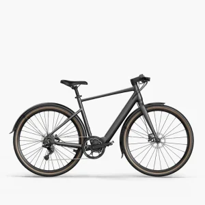 Fiido C21 Electric Bike product image
