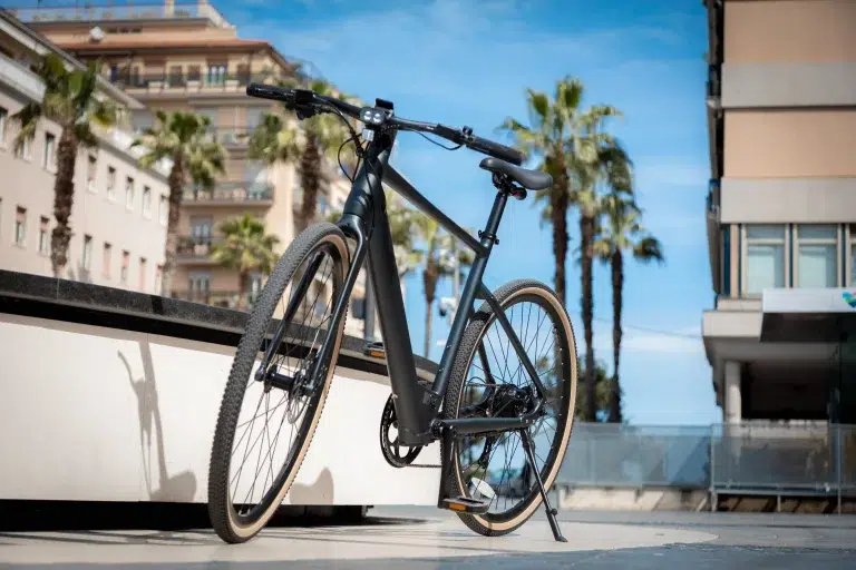 Fiido C21 Electric Bike 13 Fiido C21 gallery image 1