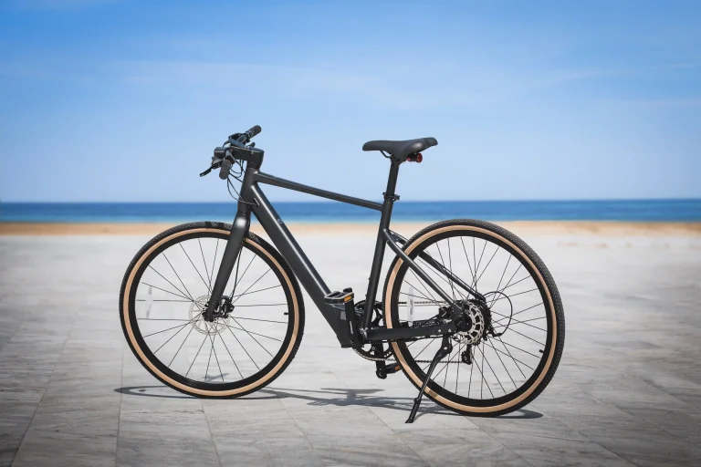 Fiido C21 Electric Bike 16 Fiido C21 gallery image 2