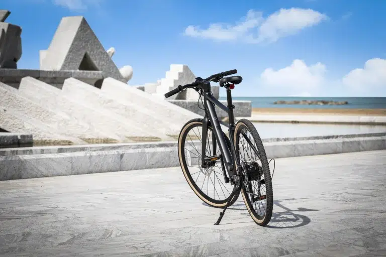 Fiido C21 Electric Bike 19 Fiido C21 gallery image 3