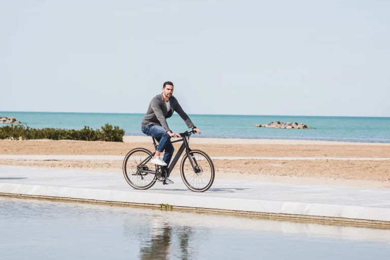 Fiido C21 Electric Bike 20 Fiido C21 gallery image 4