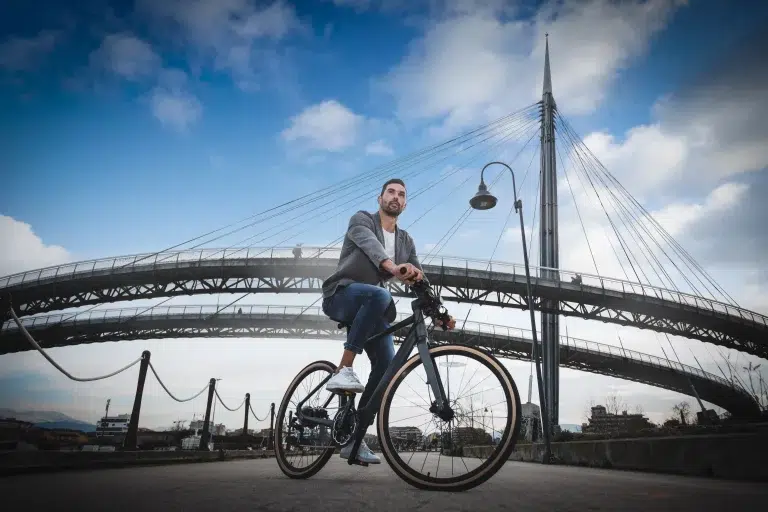Fiido C21 Electric Bike 15 Fiido C21 gallery image 5