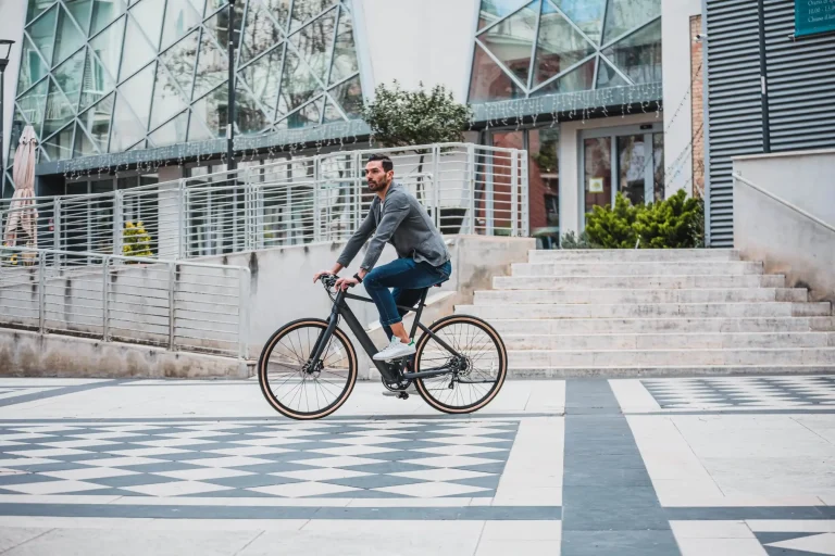 Fiido C21 Electric Bike 18 Fiido C21 gallery image 6