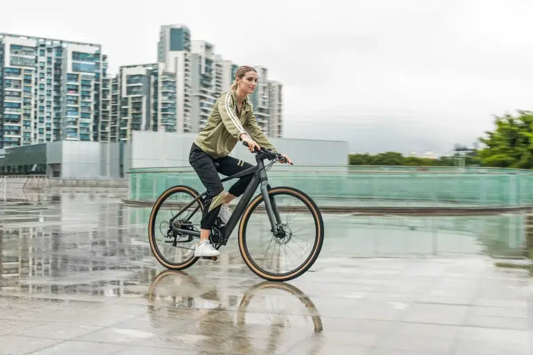 Fiido C21 Electric Bike 17 Fiido C21 gallery image 7