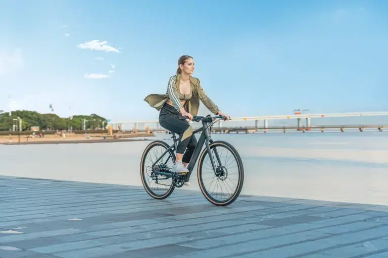Fiido C21 Electric Bike 14 Fiido C21 gallery image 9