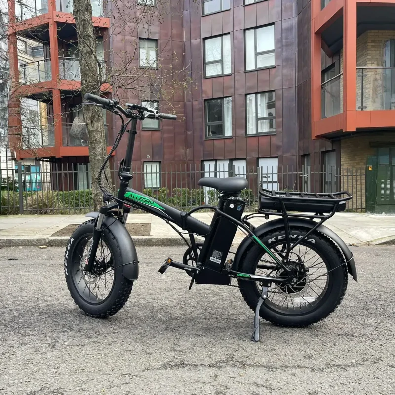 Allegro AEB Double Battery Side E-Bike